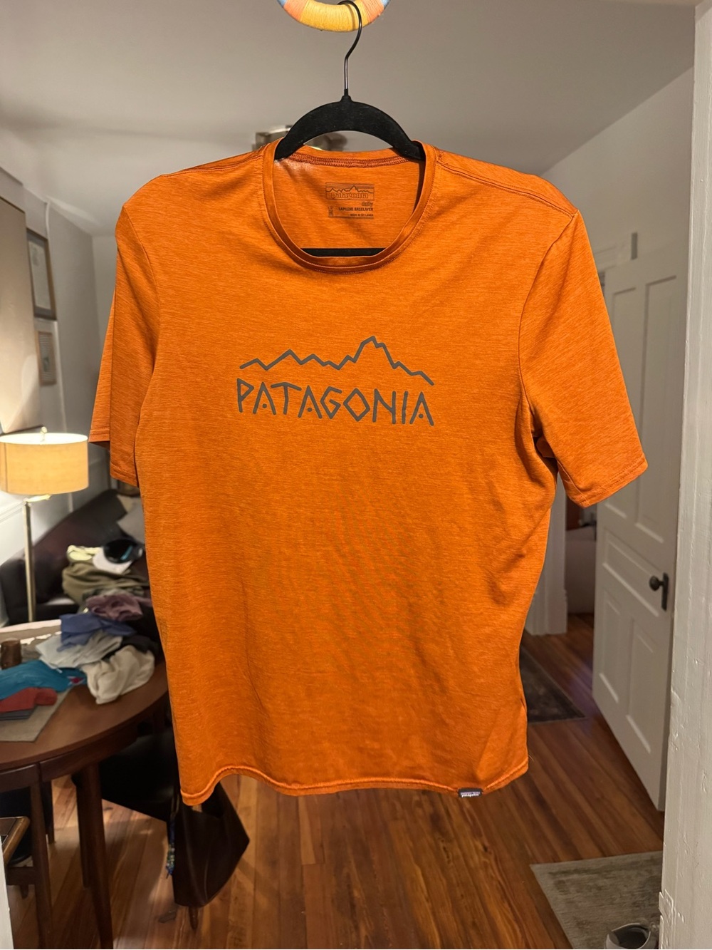 Patagonia Men's capline daily shirt